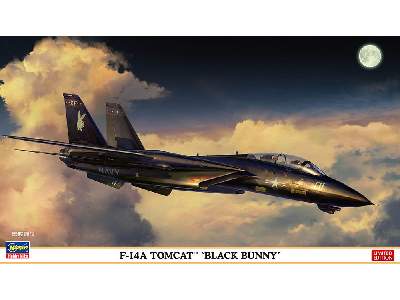 F-14a Tomcat 'black Bunny' - zdjęcie 1