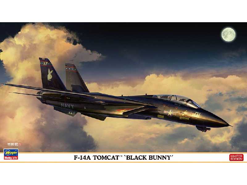 F-14a Tomcat 'black Bunny' - zdjęcie 1 F-14a Tomcat 'black Bunny' - zdjęcie 1