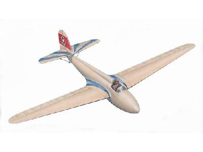 DFS Sailplane Stummel Habicht - zdjęcie 1