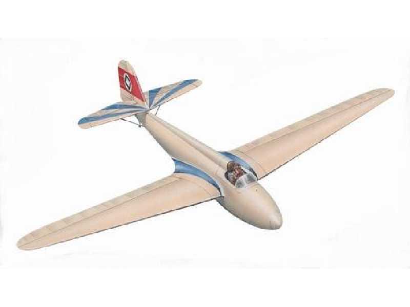 DFS Sailplane Stummel Habicht - zdjęcie 1 DFS Sailplane Stummel Habicht - zdjęcie 1