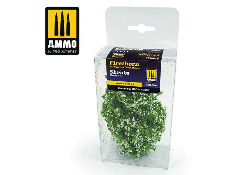 Shrubs - Firethorn Scrub - zdjęcie 1 Shrubs - Firethorn Scrub - zdjęcie 1