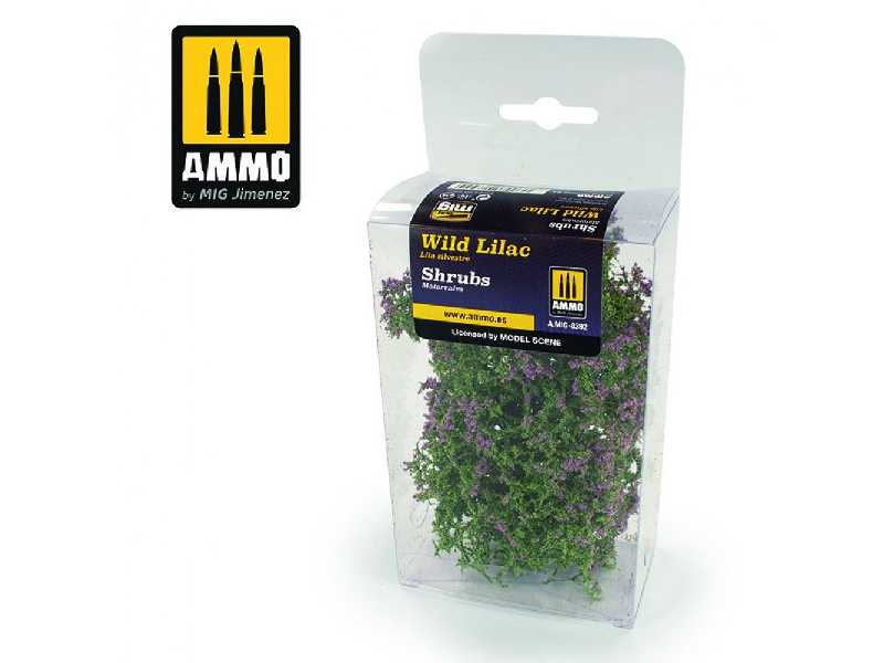 Shrubs - Wild Lilac - zdjęcie 1 Shrubs - Wild Lilac - zdjęcie 1