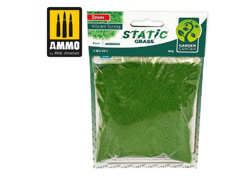 Static Grass - Vibrant Spring - 2mm - zdjęcie 1