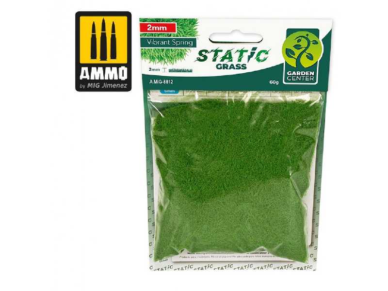 Static Grass - Vibrant Spring - 2mm - zdjęcie 1 Static Grass - Vibrant Spring - 2mm - zdjęcie 1