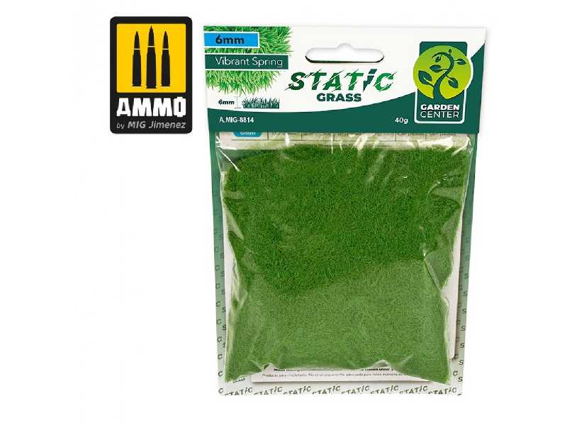 Static Grass - Vibrant Spring - 6mm - zdjęcie 1 Static Grass - Vibrant Spring - 6mm - zdjęcie 1