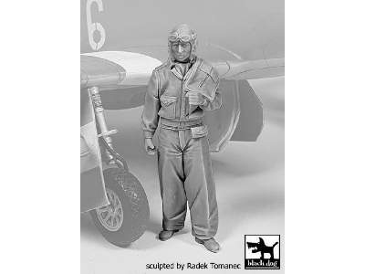 Usaaf Fighter Pilot 1940-45 N°3 - zdjęcie 2