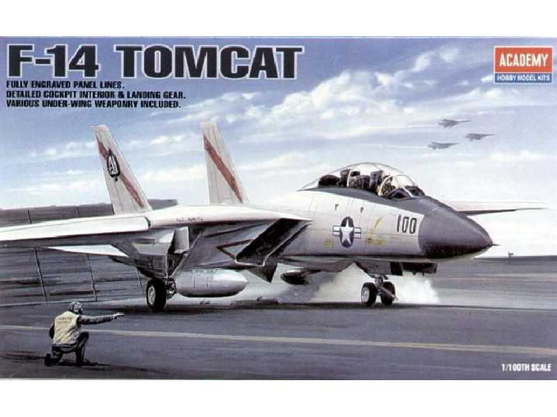 Grumman F-14 Tomcat - zdjęcie 1 Grumman F-14 Tomcat - zdjęcie 1