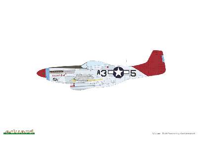 P-51D Mustang - Red Tails & Co. DUAL COMBO - zdjęcie 4