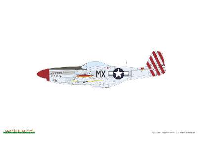 P-51D Mustang - Red Tails & Co. DUAL COMBO - zdjęcie 7