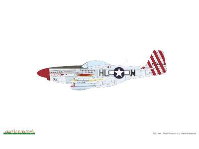 P-51D Mustang - Red Tails & Co. DUAL COMBO - zdjęcie 8