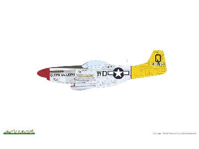 P-51D Mustang - Red Tails & Co. DUAL COMBO - zdjęcie 9