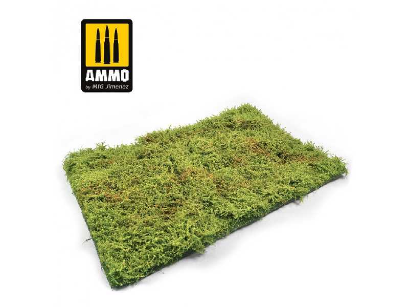 Wilderness Fields With Bushes - Spring (230 X 130mm) - zdjęcie 1 Wilderness Fields With Bushes - Spring (230 X 130mm) - zdjęcie 1