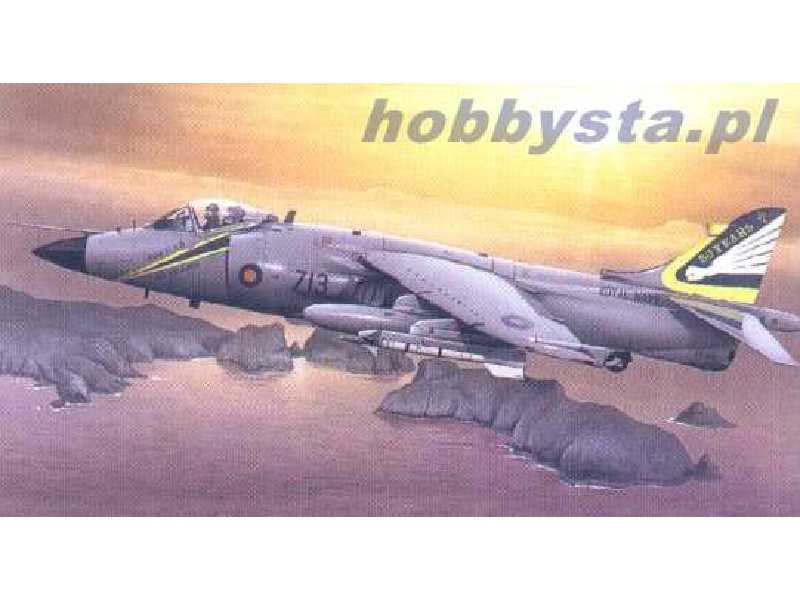 BAe Sea Harrier FRS-1 - zdjęcie 1 BAe Sea Harrier FRS-1 - zdjęcie 1