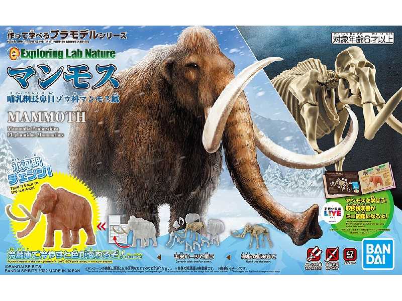 Exploring Lab Nature Mammoth - zdjęcie 1 Exploring Lab Nature Mammoth - zdjęcie 1