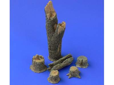 Tree Trunks And Stumps - zdjęcie 1