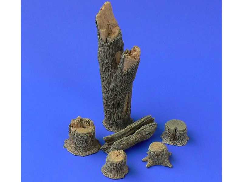 Tree Trunks And Stumps - zdjęcie 1 Tree Trunks And Stumps - zdjęcie 1