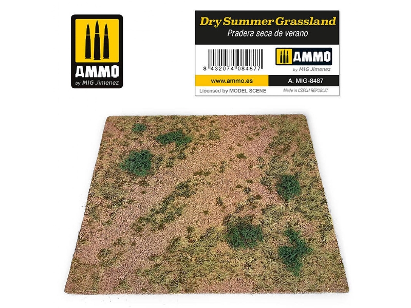 Dry Summer Grassland - zdjęcie 1
