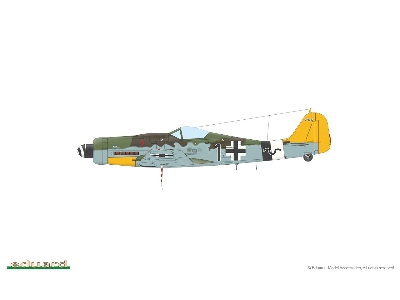 Fw 190D-9 1/48 - zdjęcie 5