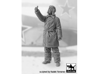 Soviet Fighter Pilot Wwii N°1 - zdjęcie 2