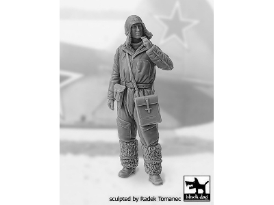 Soviet Fighter Pilot Wwii N°2 - zdjęcie 2