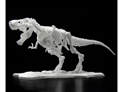 Dinosaur Model Kit Limex Skeleton - Tyrannosaurus - zdjęcie 4