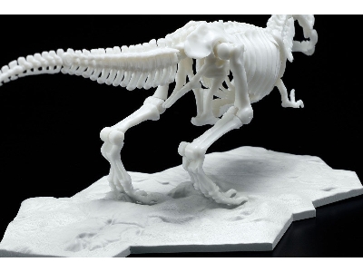 Dinosaur Model Kit Limex Skeleton - Tyrannosaurus - zdjęcie 6