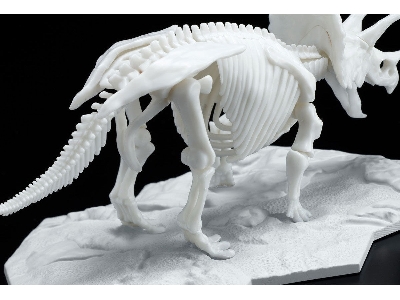 Dinosaur Model Kit Limex Skeleton - Triceratops - zdjęcie 5
