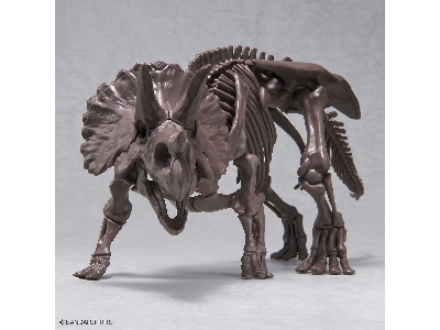 Imaginary Skeleton Triceratops - zdjęcie 6