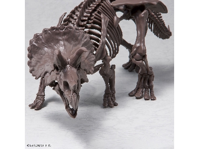 Imaginary Skeleton Triceratops - zdjęcie 7