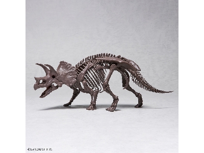 Imaginary Skeleton Triceratops - zdjęcie 9