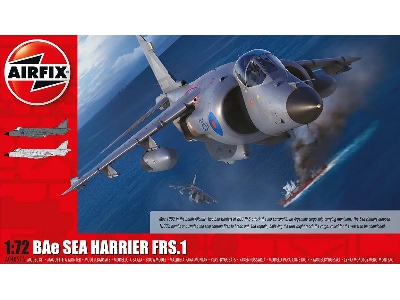 BAe Sea Harrier FRS.1 - zdjęcie 1