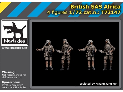 British Sas Africa - zdjęcie 1