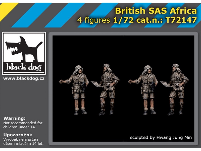 British Sas Africa - zdjęcie 1