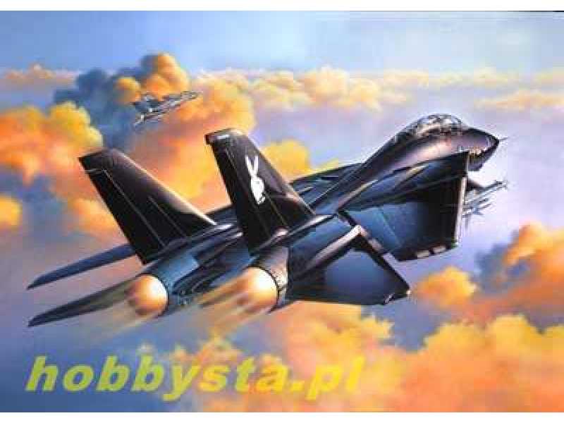 F-14A Black Tomcat - zdjęcie 1 F-14A Black Tomcat - zdjęcie 1