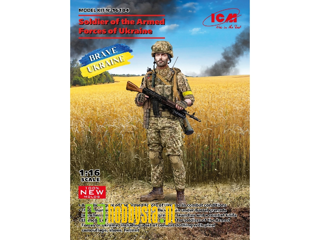 Soldier Of The Armed Forces Of Ukraine - zdjęcie 1 Soldier Of The Armed Forces Of Ukraine - zdjęcie 1