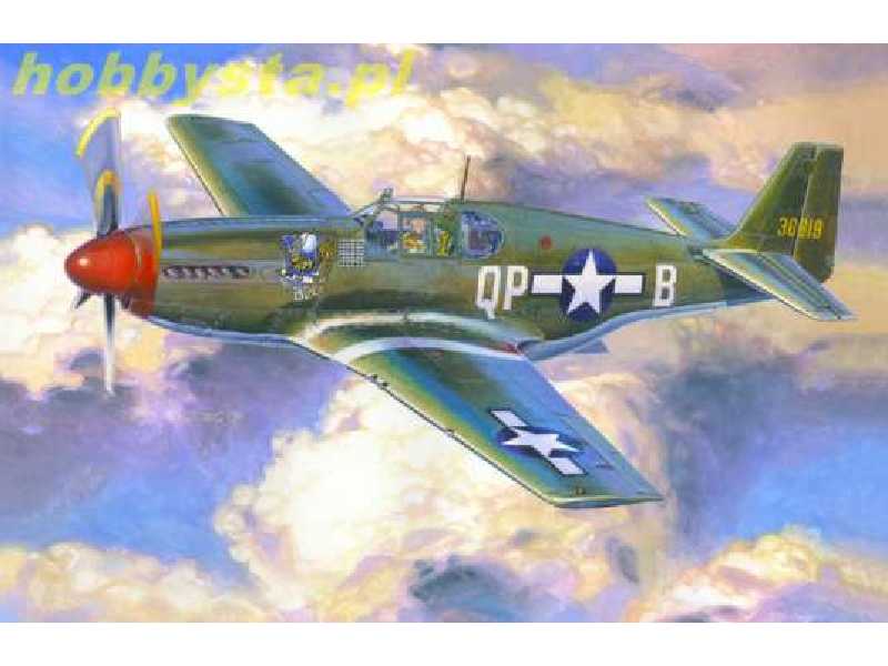 P-51 B-5 "Bee" - zdjęcie 1 P-51 B-5 "Bee" - zdjęcie 1