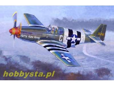 P-51 B-5 "Hurry Home Honey" - zdjęcie 1