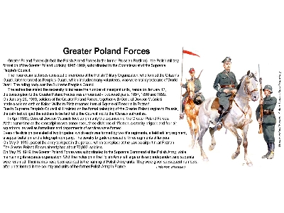 żołnierz 14 Wielkopolskiej Dywizji Piechoty - Bitwa Warszawska, Sierpień 1920 - Wojna Polsko-bolszewicka 1920 - zdjęcie 3