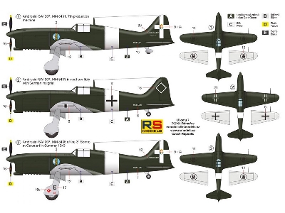 Ambrosini Sai.207 - zdjęcie 2