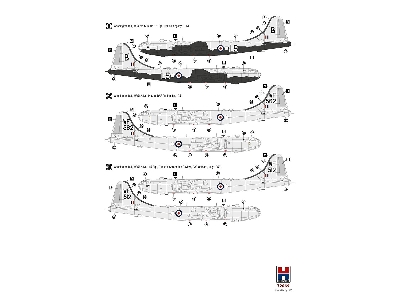 Washington B.1 - zdjęcie 4