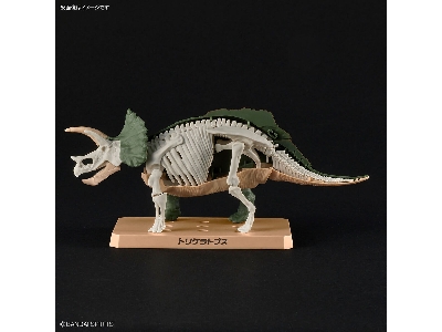 Planosaurus - Triceratops - zdjęcie 8