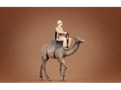 Afrikakorps Soldier Riding Camel 3d - zdjęcie 2