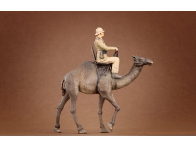 Afrikakorps Soldier Riding Camel 3d - zdjęcie 3