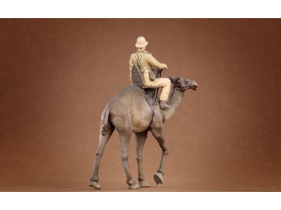 Afrikakorps Soldier Riding Camel 3d - zdjęcie 4