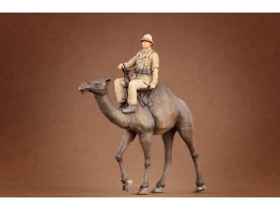 Afrikakorps Soldier Riding Camel 3d - zdjęcie 6
