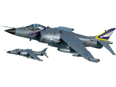 Harrier Frs.1 '50 Years 800 Nas' - zdjęcie 2