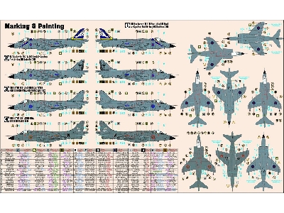 Harrier Frs.1 '50 Years 800 Nas' - zdjęcie 3