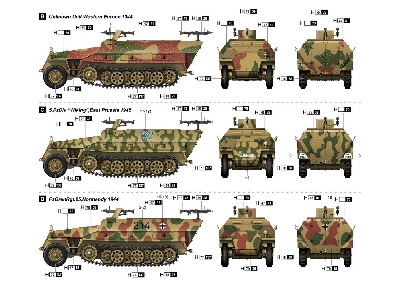 Sd.Kfz 251 D - zdjęcie 6