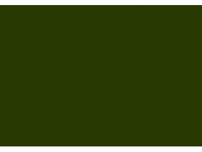Ua303 - Nato Green Fs34094 - zdjęcie 2