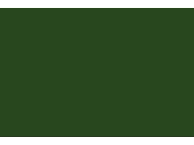 Ua860 - Verde Vagone Satin - zdjęcie 2